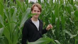 young person standing in a field of tall green leafy plants 